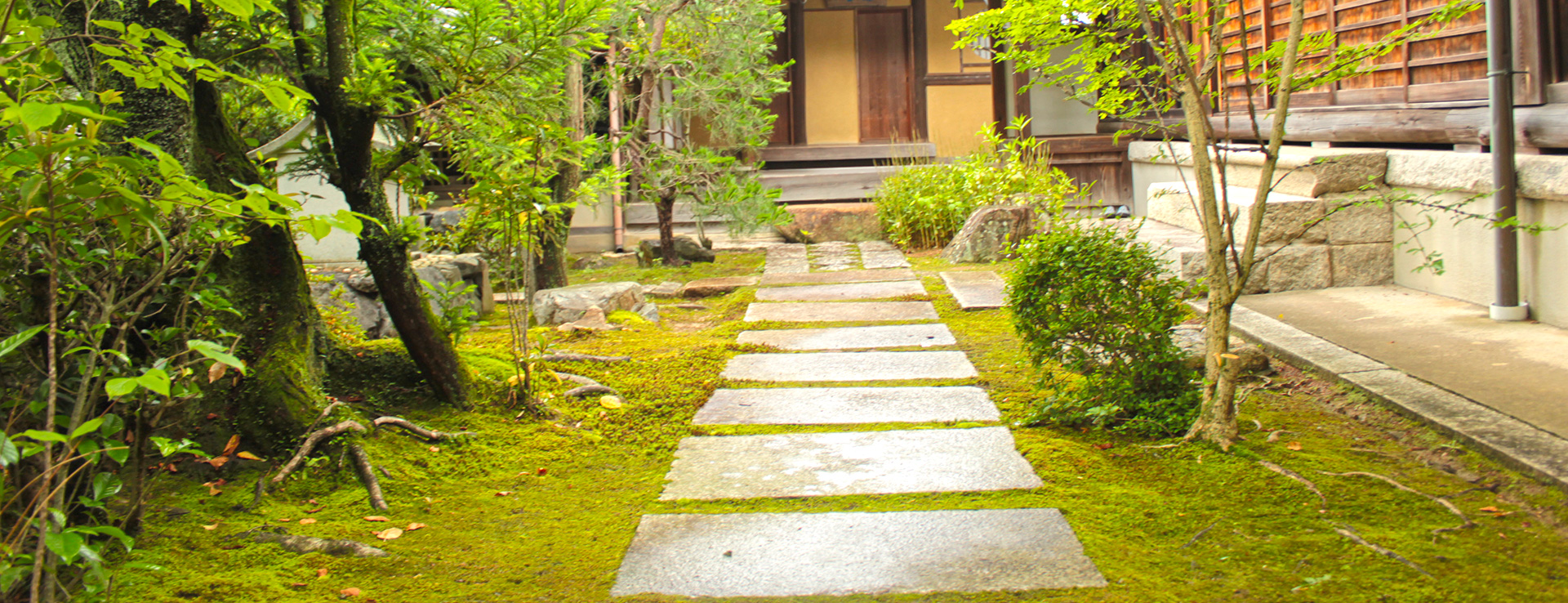 東福寺正覚庵の茶室へ続く庭